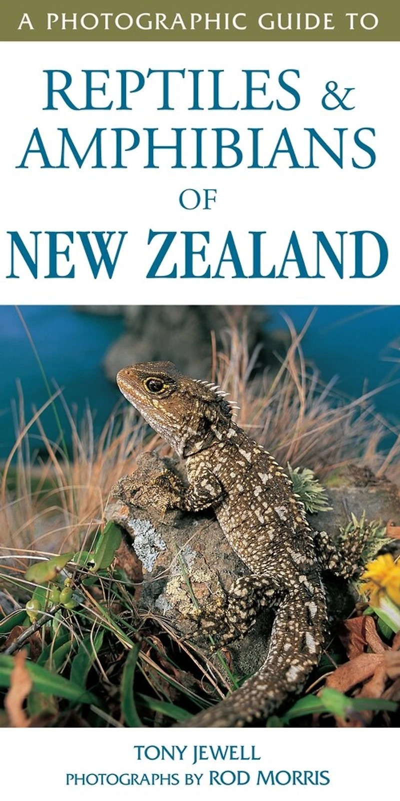 A Photographic Guide To Reptiles & Amphibians Of New Zealand