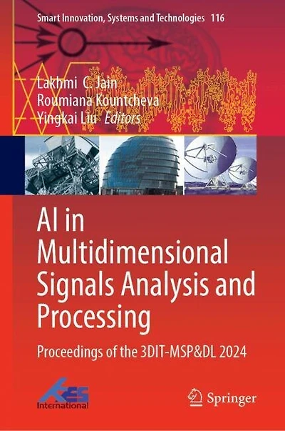 AI Multidimensional Signals Analysis and Processing: Proceedings of the 3DIT-MSP DL 2024