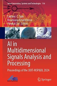 AI Multidimensional Signals Analysis and Processing: Proceedings of the 3DIT-MSP DL 2024