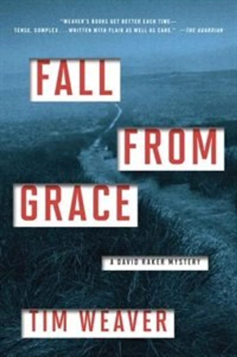 Fall from Grace: A David Raker Mystery