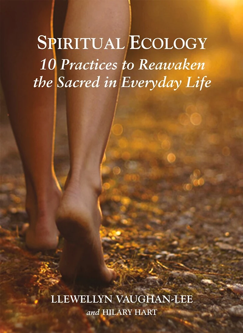 Spiritual Ecology: 10 Practices To Reawaken The Sacred Everyday Life
