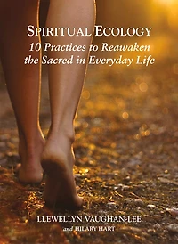 Spiritual Ecology: 10 Practices To Reawaken The Sacred Everyday Life