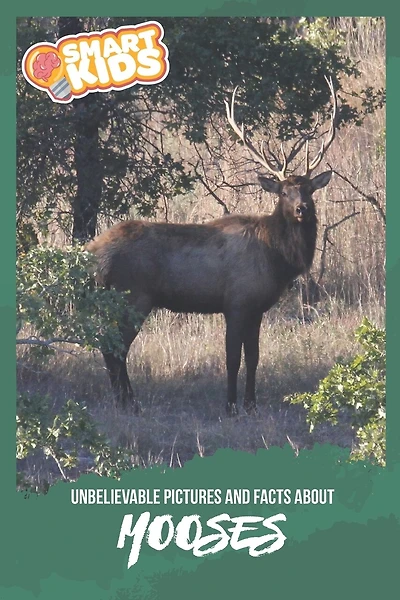 Unbelievable Pictures and Facts About Mooses