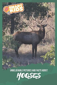 Unbelievable Pictures and Facts About Mooses
