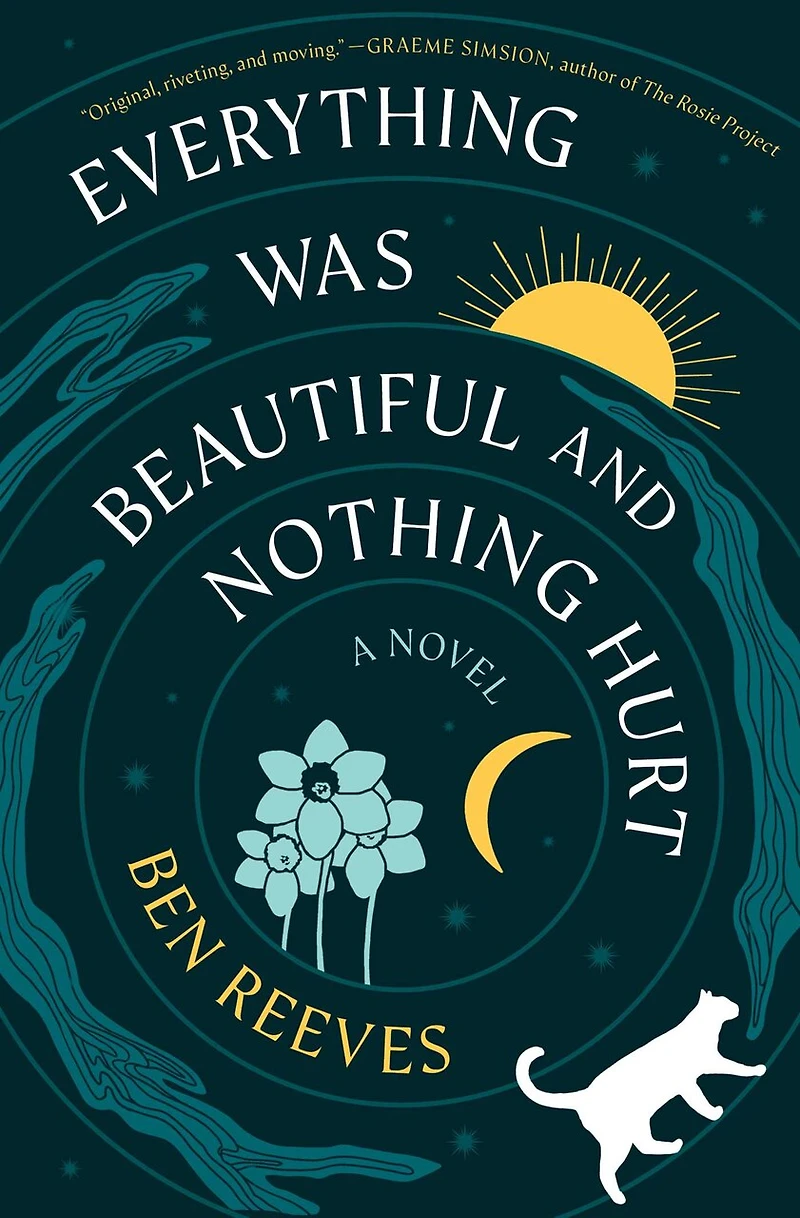 Everything Was Beautiful and Nothing Hurt: A Novel