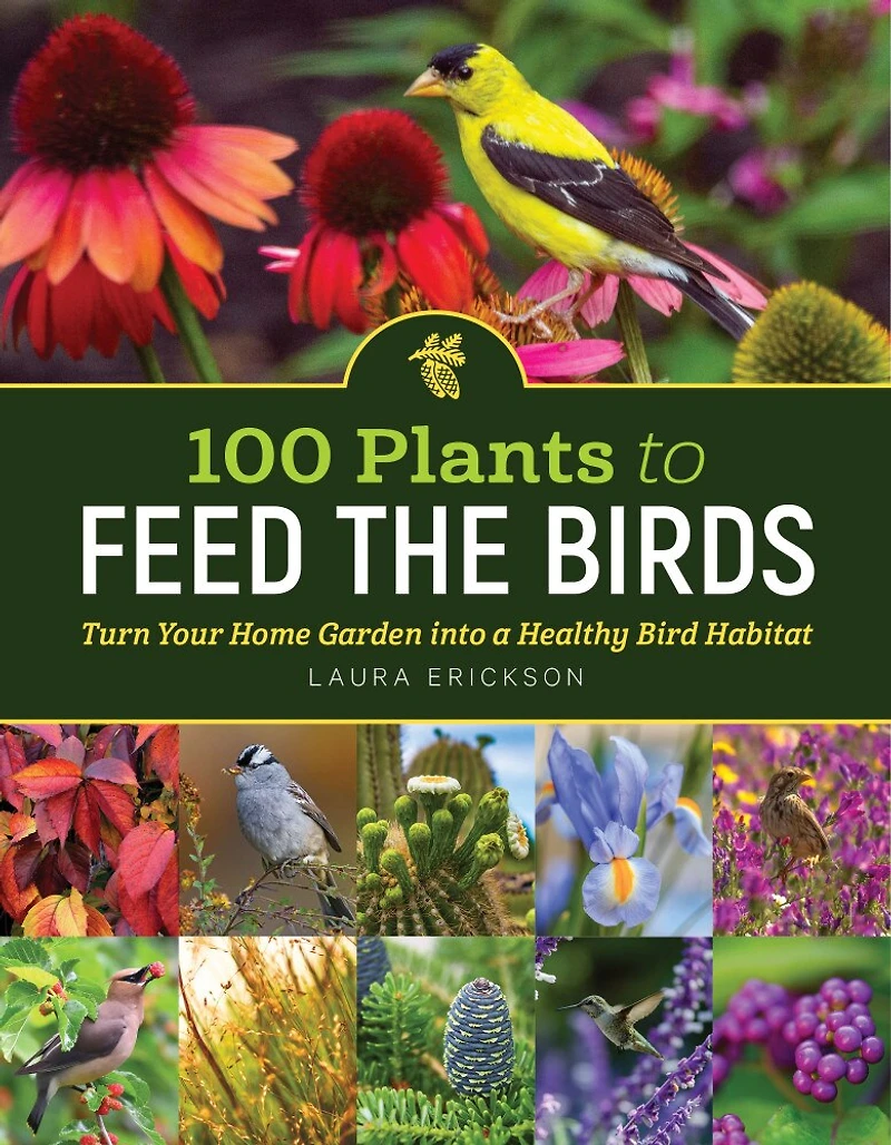 100 Plants To Feed The Birds: Turn Your Home Garden Into A Healthy Bird Habitat