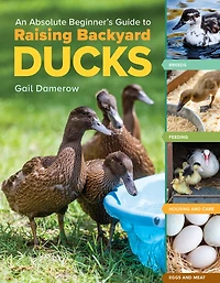An Absolute Beginner's Guide to Raising Backyard Ducks: Breeds, Feeding, Housing and Care, Eggs Meat