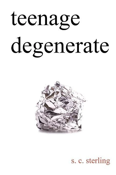 Teenage Degenerate: A Memoir that Explores the Depths of Methamphetamine and Drug Addiction