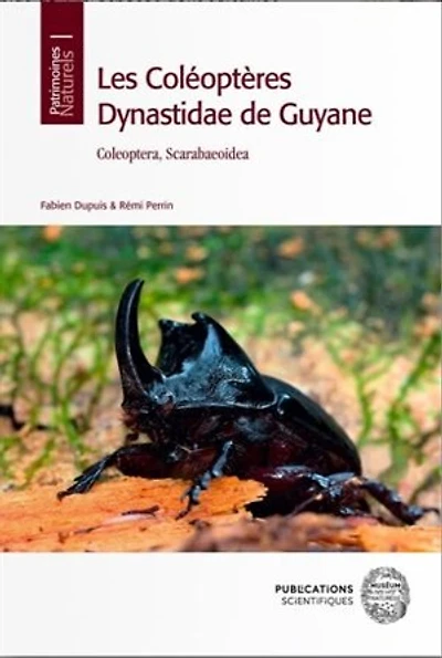 Les Coléoptères Dynastidae de Guyane