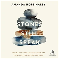 Stones Still Speak: How Biblical Archaeology Illuminates the Stories You Thought Knew