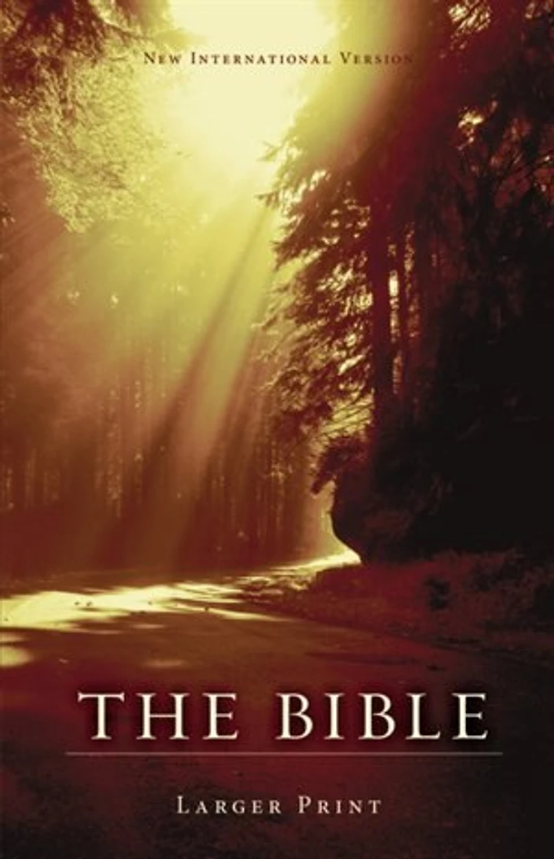 Niv, Holy Bible, Larger Print, Paperback