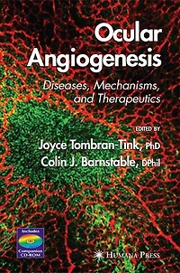 Ocular Angiogenesis: Diseases, Mechanisms, And Therapeutics