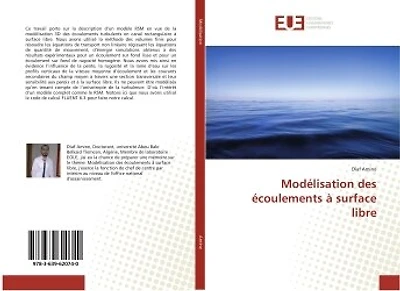 Modélisation des écoulements à surface libre