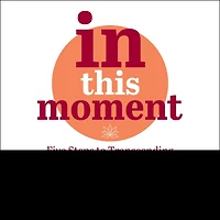 This Moment Lib/E: Five Steps to Transcending Stress Using Mindfulness and Neuroscience