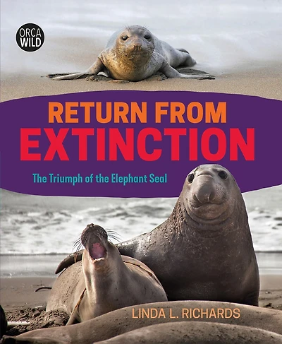 Return from Extinction: the Triumph of Elephant Seal