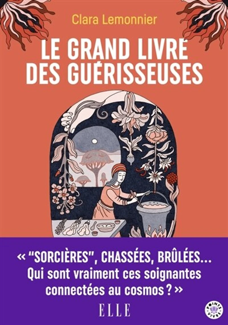 Le grand livre des guérisseuses: leurs pouvoirs, leurs secrets, leur histoire