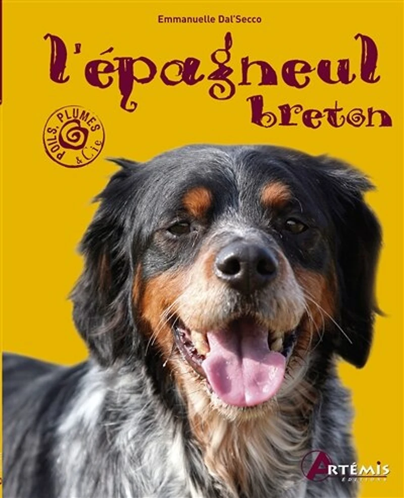 L' épagneul breton