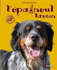 L' épagneul breton
