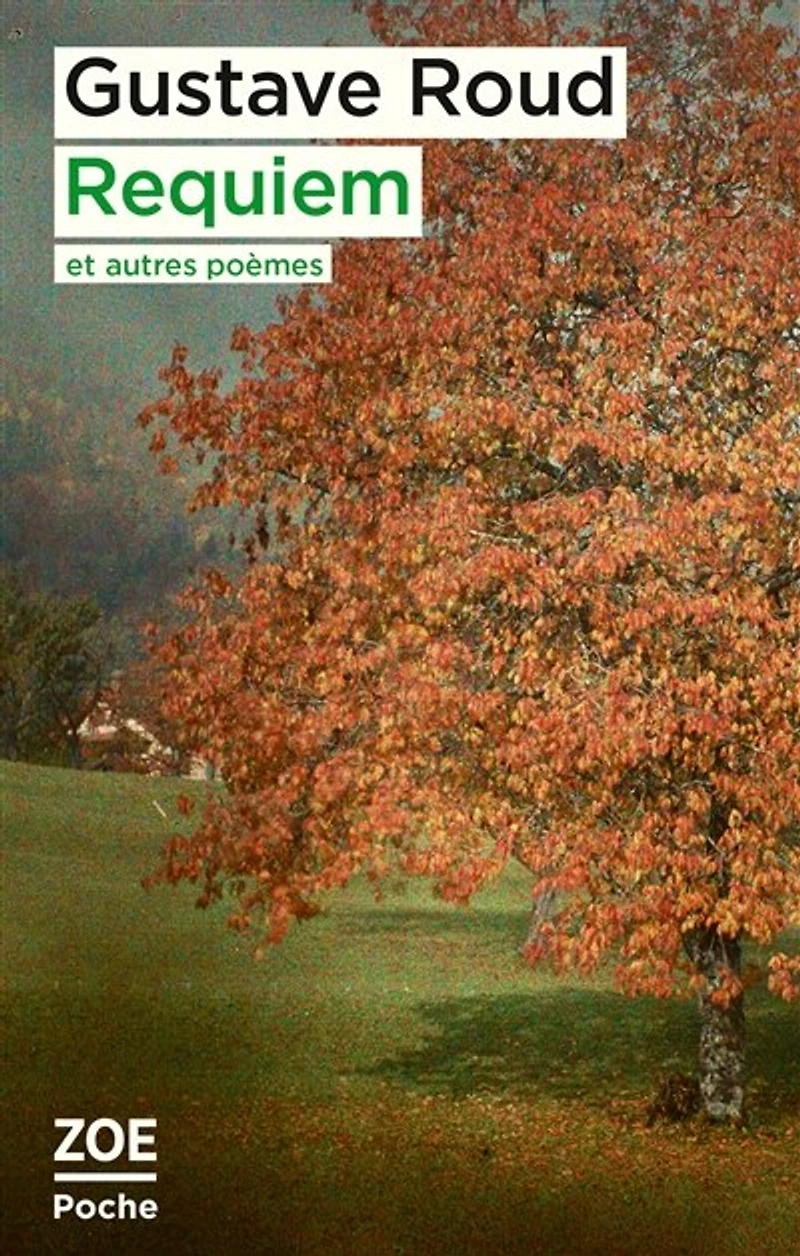 Requiem : et autres poèmes: poèmes