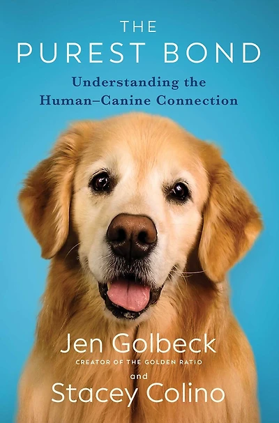 the Purest Bond: Understanding Human–Canine Connection