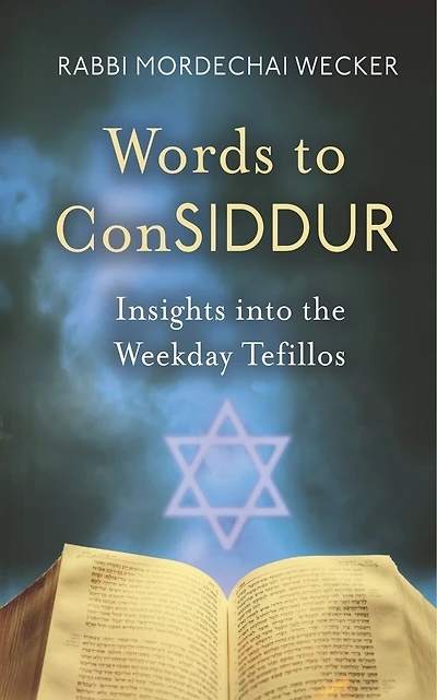 Words to ConSIDDUR: Insights into the Weekday Tefillos