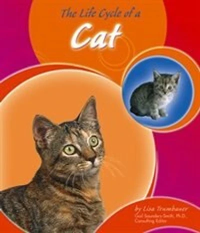The Life Cycle of a Cat