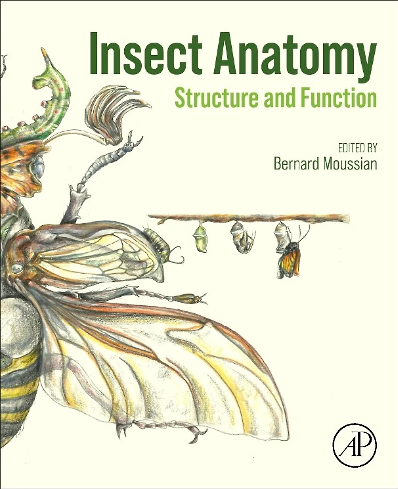 Insect Anatomy: Structure And Function