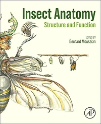 Insect Anatomy: Structure And Function