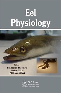 Eel Physiology