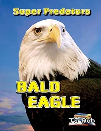 Bald Eagle: (Age 6 and above)