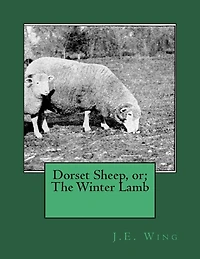 Dorset Sheep, or; The Winter Lamb