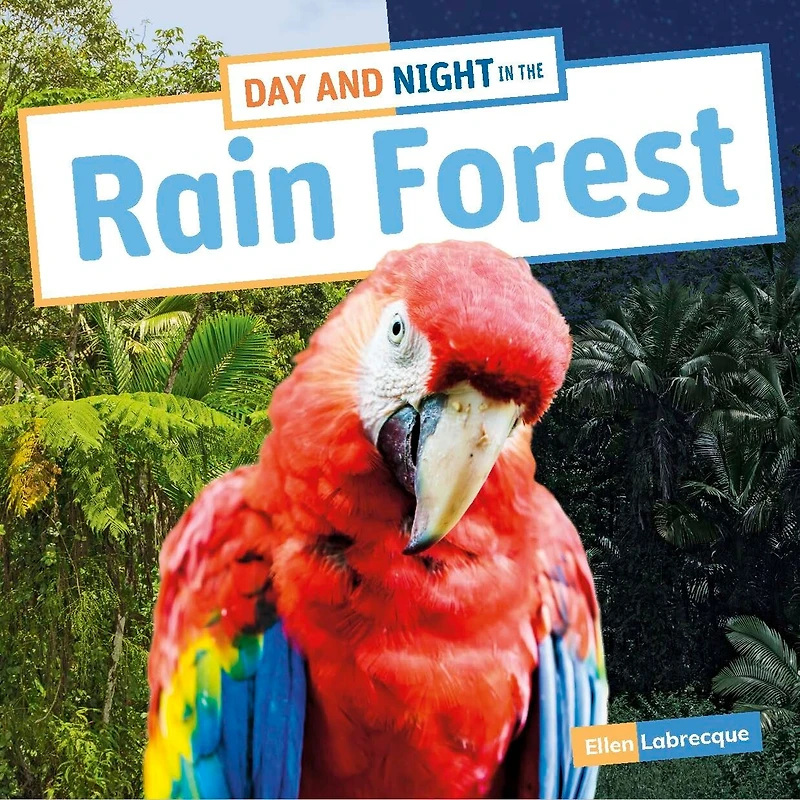 Day and Night the Rain Forest
