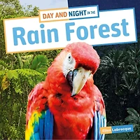 Day and Night the Rain Forest