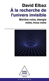 A la recherche de l'Univers invisible: matière noire, énergie noire, trous noirs