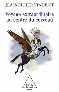 Voyage extraordinaire au centre du cerveau