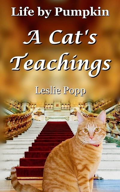 Life by Pumpkin: A Cat's Teachings