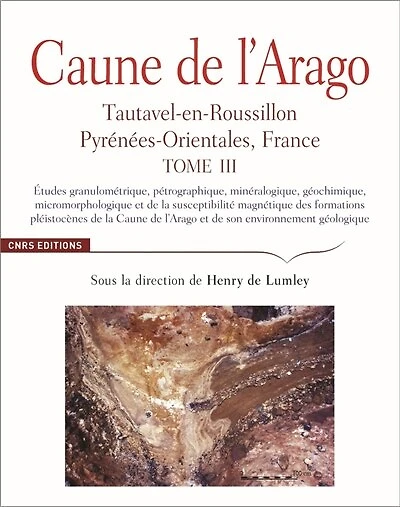 Etudes granulométrique, pétrographique, minéralogique, géochimique, micromorphologique et de la susceptibilité magnétique des formations pléistocènes de la Caune de l'Arago et de son environnement géologique