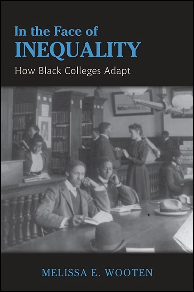 the Face of Inequality: How Black Colleges Adapt