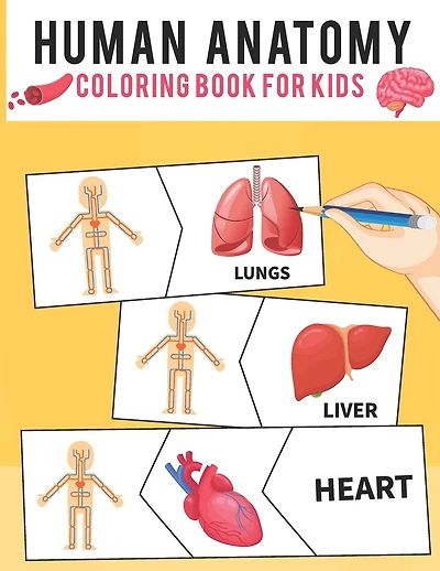 Human Anatomy Coloring Book For Kids: Human Body Coloring Pages Fun and Educational Way to Learn About Human Anatomy for Kids Boys & Girl