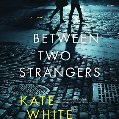 Between Two Strangers: A Novel of Suspense