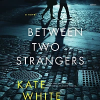 Between Two Strangers: A Novel of Suspense