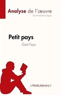 Petit pays de Gael Faye (Analyse l'oeuvre): Résumé complet et analyse détaillée l'oeuvre