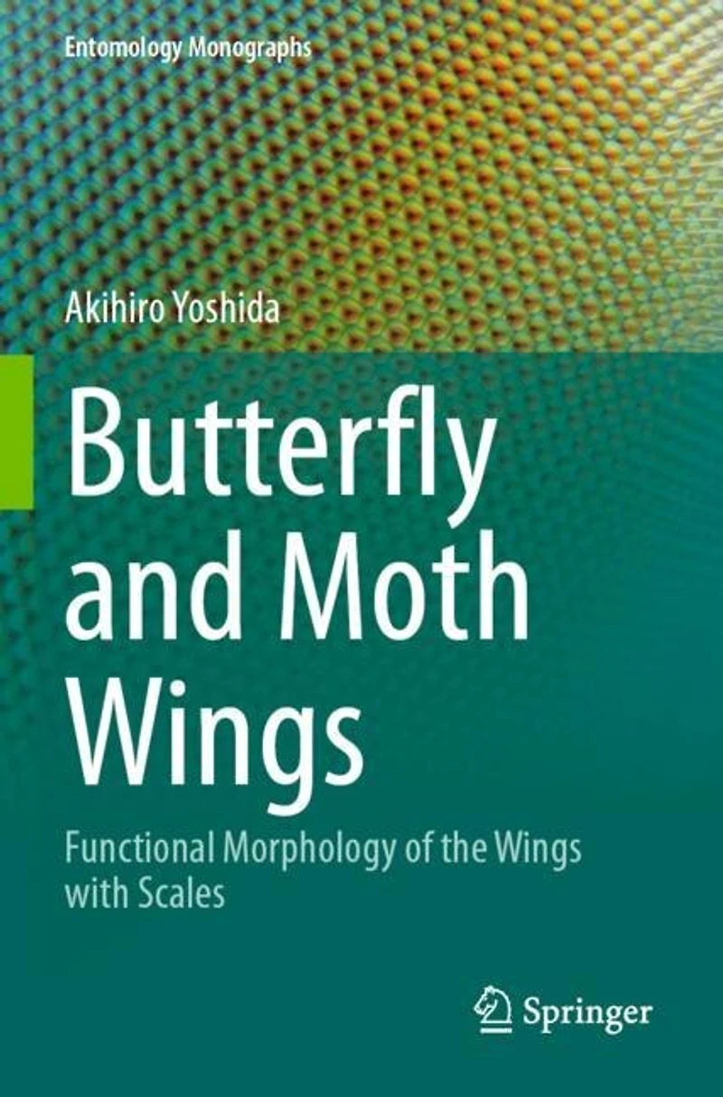 Butterfly and Moth Wings: Functional Morphology of the Wings with Scales