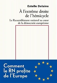 A l'extrême droite de l'hémicycle: le Rassemblement national au coeur de la démocratie européenne