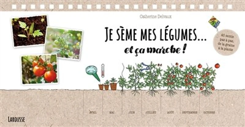 Je sème mes légumes... et ça marche !: 40 semis pas à pas, de la graine plante