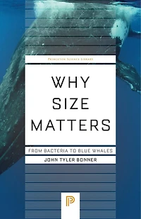 Why Matters: From Bacteria to Blue Whales
