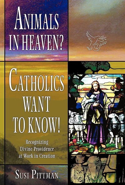Animals Heaven?: Catholics Want to Know!