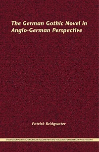 The German Gothic Novel in Anglo-German Perspective