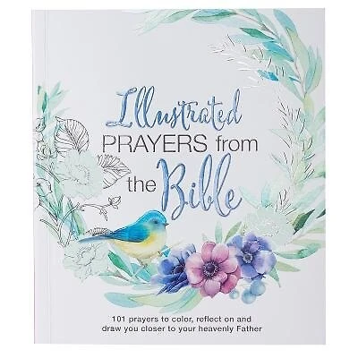 Illustrated Prayers from the Bible: Coloring Gift Book