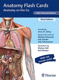 Anatomy Flash Cards, Latin Nomenclature: Anatomy On The Go